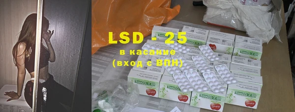 спайс Богданович