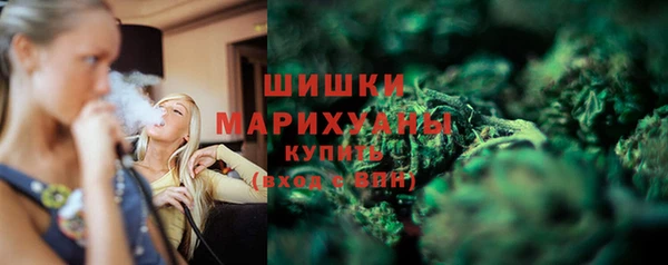 спайс Богданович