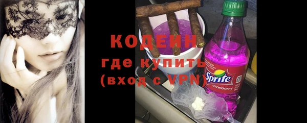 хмурый Богородицк