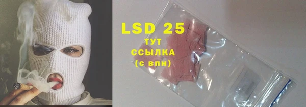 спайс Богданович
