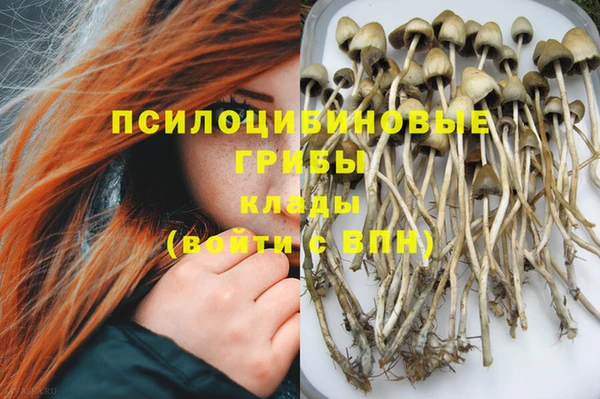 хмурый Богородицк